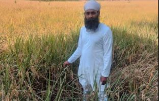 ਕਿਸਾਨ ਸ਼ੇਰ ਸਿੰਘ ਬਿਨ੍ਹਾਂ ਪਰਾਲੀ ਸਾੜੇ 150 ਏਕੜ ਰਕਬੇ ‘ਚ ਕਰਦਾ ਹੈ ਖੇਤੀ