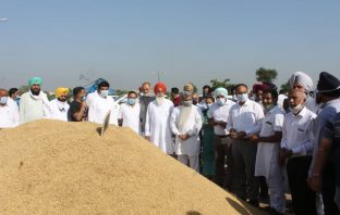 ਅਨਾਜ ਮੰਡੀ ਮੁੱਲਾਂਪੁਰ ਚ’ ਖ਼ੁਰਾਕ ਸਪਲਾਈਜ ਮੰਤਰੀ ਆਸ਼ੂ ਵੱਲੋਂ ਝੋਨੇ ਦੀ ਖਰੀਦ ਦਾ ਰਸਮੀ ਉਦਘਾਟਨ