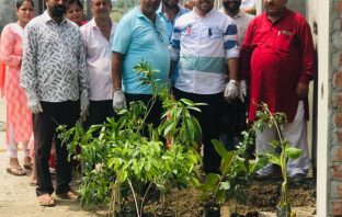 जय माँ छिन्मस्तका धाम ने कृष्ण जन्माष्टमी के शुभ अवसर पर बाला जी एन्क्लेव मे लगाये पौधे